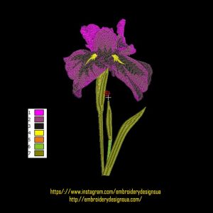 77431 Квітка Ірис