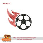 77531 Футбольний мяч