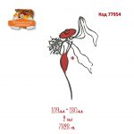 77954 Дівчина