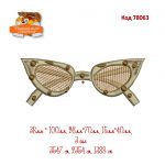 78063 Окуляри