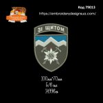 79013 Шеврон Зі Щитом