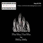 81792 Колоски