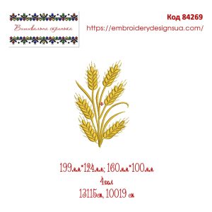 84269 Колоски